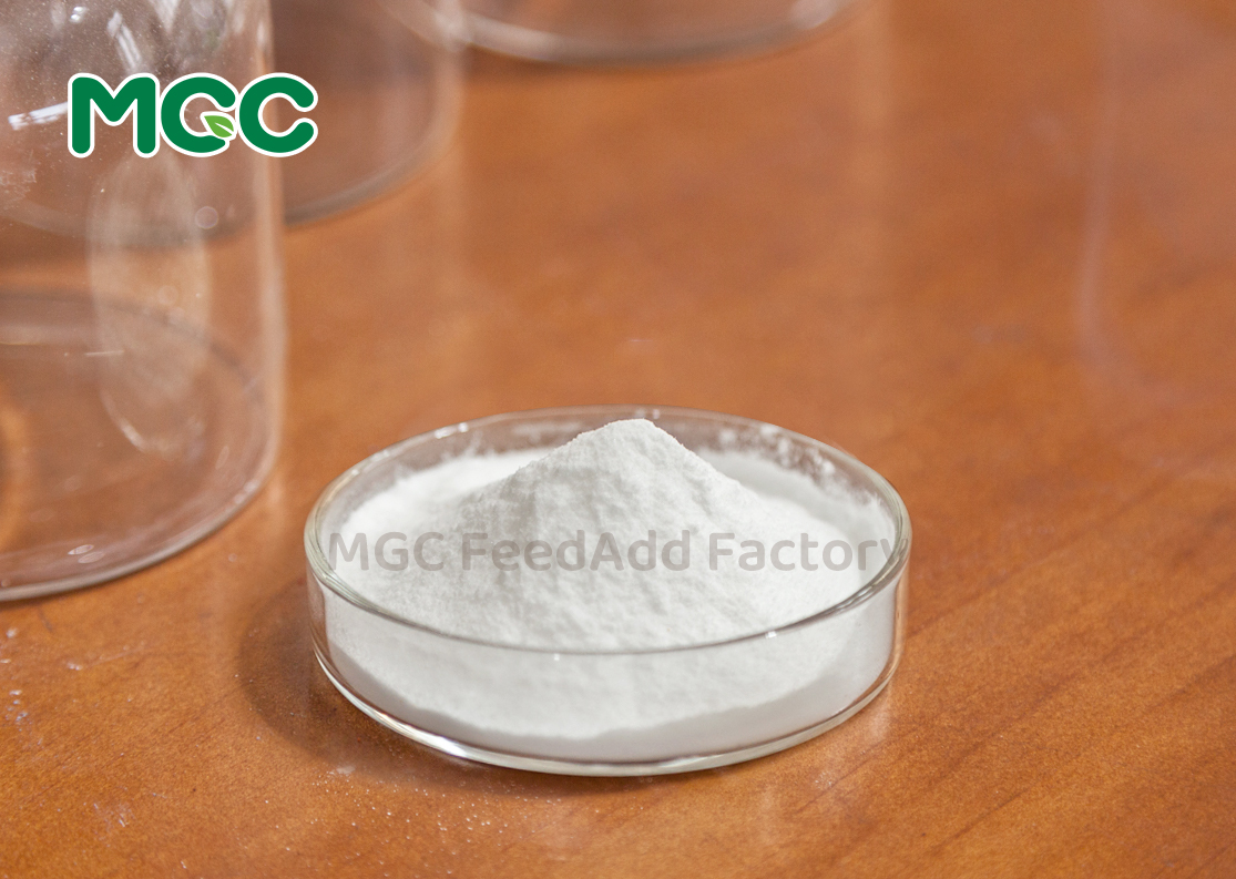 D-Calcium Pantothenate